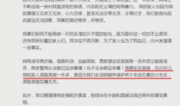 娱乐圈吃瓜文档420页,420页“吃瓜”文档深度剖析