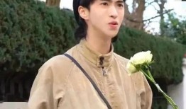 吃瓜娱乐演员表,揭秘明星阵容，带你走进娱乐圈风云变幻