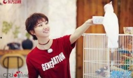 王源吃瓜娱乐圈,娱乐圈吃瓜背后的故事