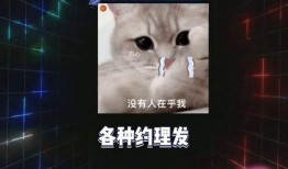 娱乐吃瓜教程在线观看,跟随娱乐教程，轻松解锁追剧乐趣