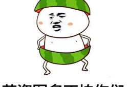 回复吃瓜表情的注意事项,注意事项与礼仪解析