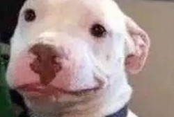 娱乐圈吃瓜公众号微信,吃瓜群众必看幕后真相！