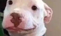 娱乐圈吃瓜公众号微信,吃瓜群众必看幕后真相！