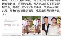 娱乐圈吃瓜一周年,回顾热点事件，揭秘幕后真相