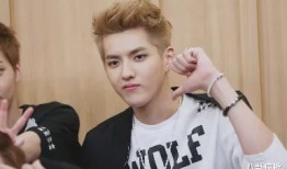 娱乐圈吃瓜李宏毅是谁,揭秘他的明星之路