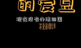 娱乐吃瓜播报怎么写,吃瓜播报盘点