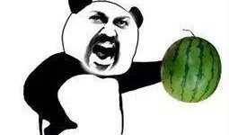 吃瓜时刻,吃瓜时刻背后的真相与八卦