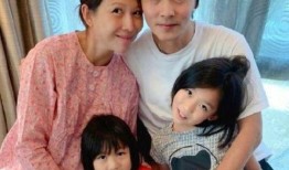 吃瓜鹅娱乐圈完整版,揭秘明星幕后故事，带你领略娱乐圈风云变幻