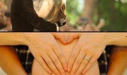 吃瓜鹅娱乐圈完整版,揭秘明星幕后故事，带你领略娱乐圈风云变幻